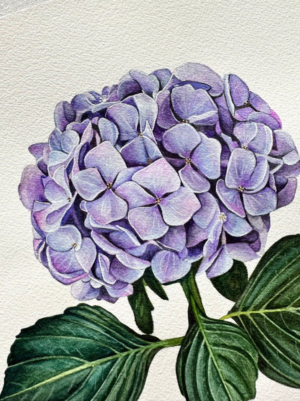 Close-up of a watercolor purple hydrangea flower with green leaves on a textured beige background