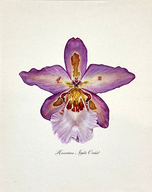 Hawaiian Nights Orchid Print