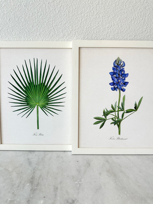 Fan Palm Print