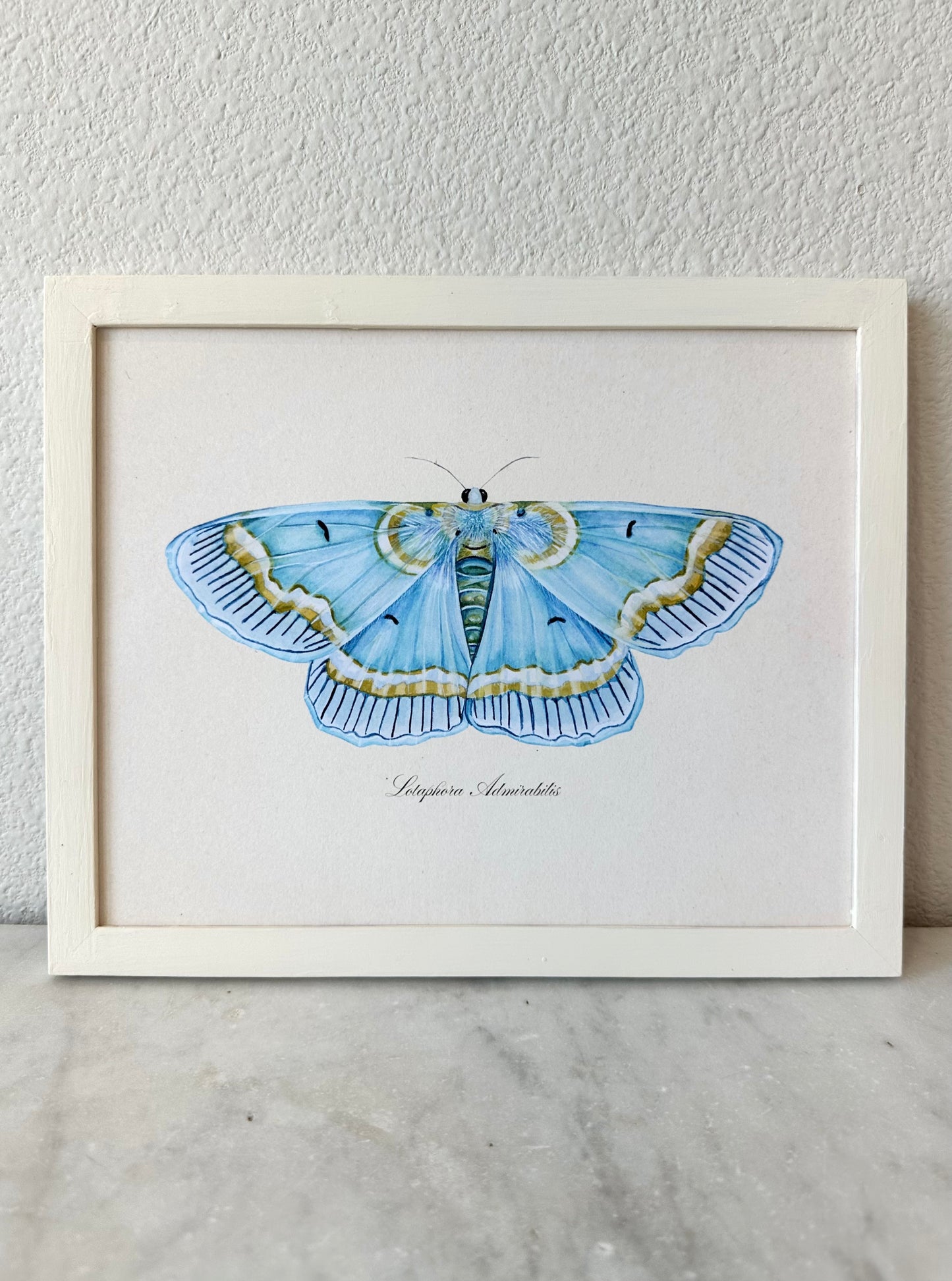 Blue Moth Print