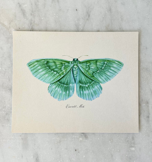 Emerald Moth Print