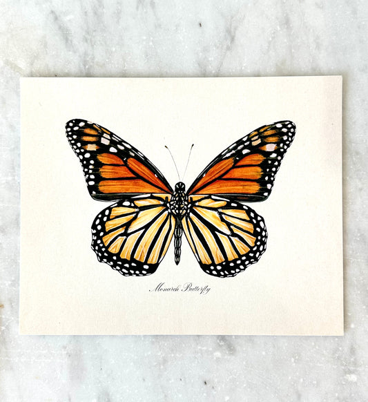 Monarch Butterfly Print