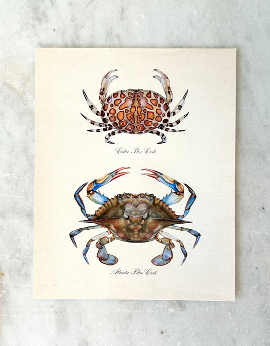 Crab Pair Print