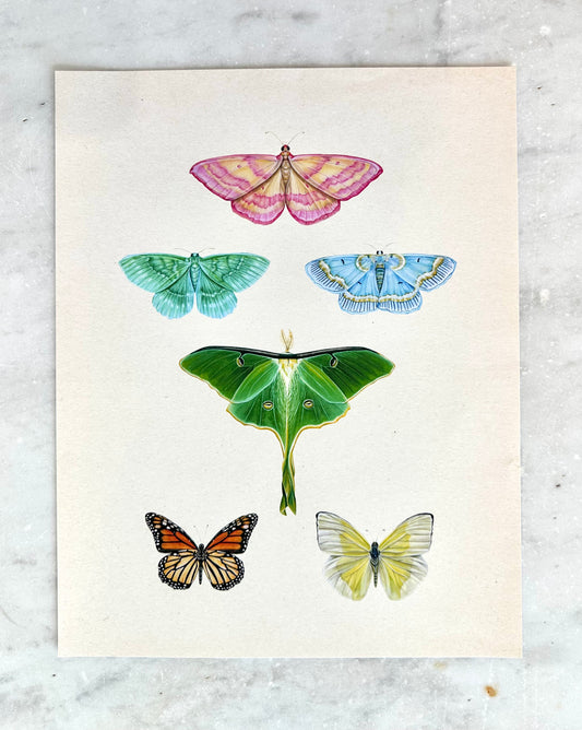 Butterfly Collage Print