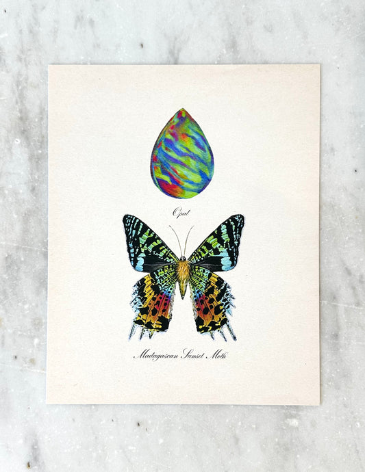 Opal + Sunset Moth Print