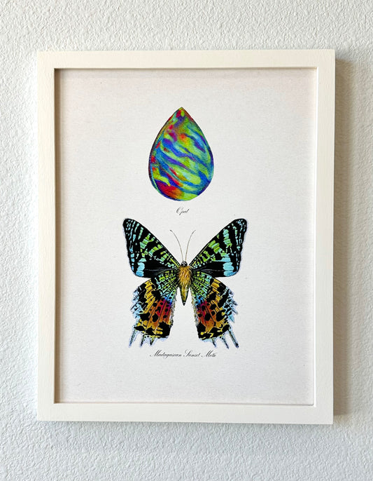 Opal + Sunset Moth Print