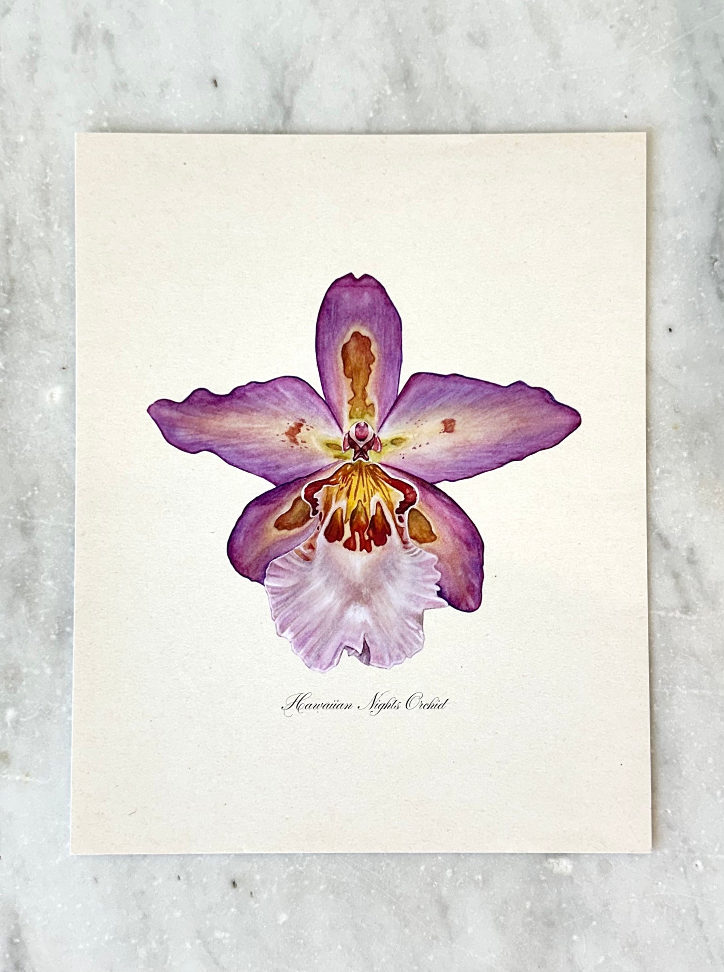 Hawaiian Nights Orchid Print