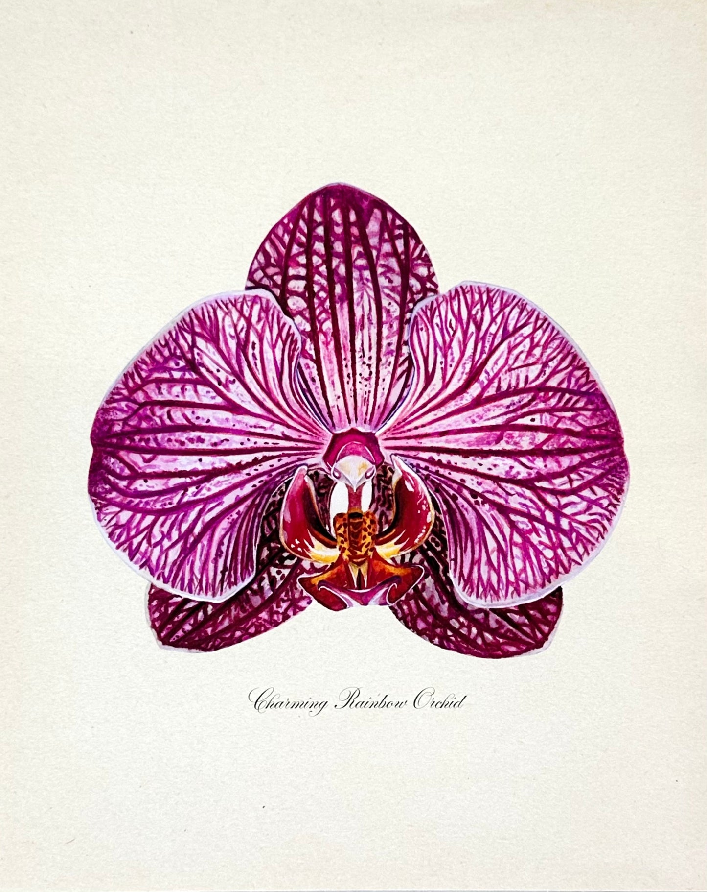 Charming Rainbow Orchid Print