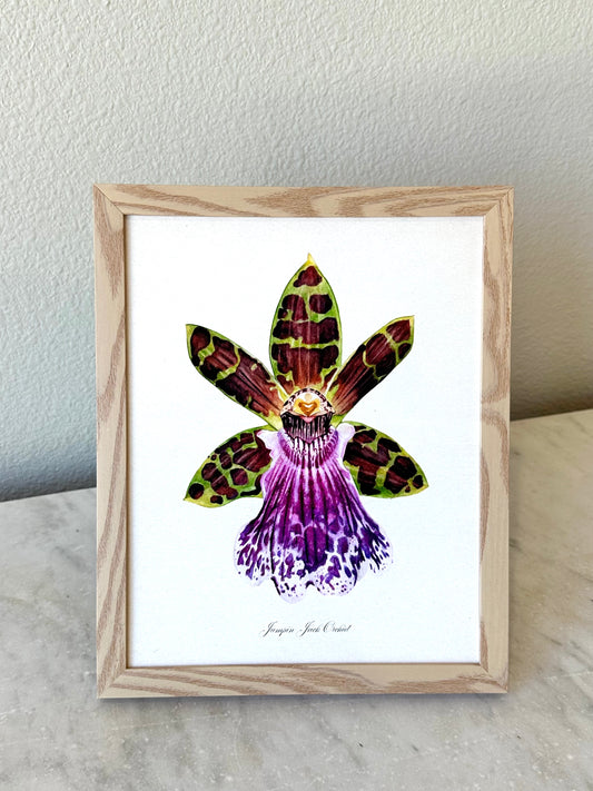 Jumpin Jack Orchid Print