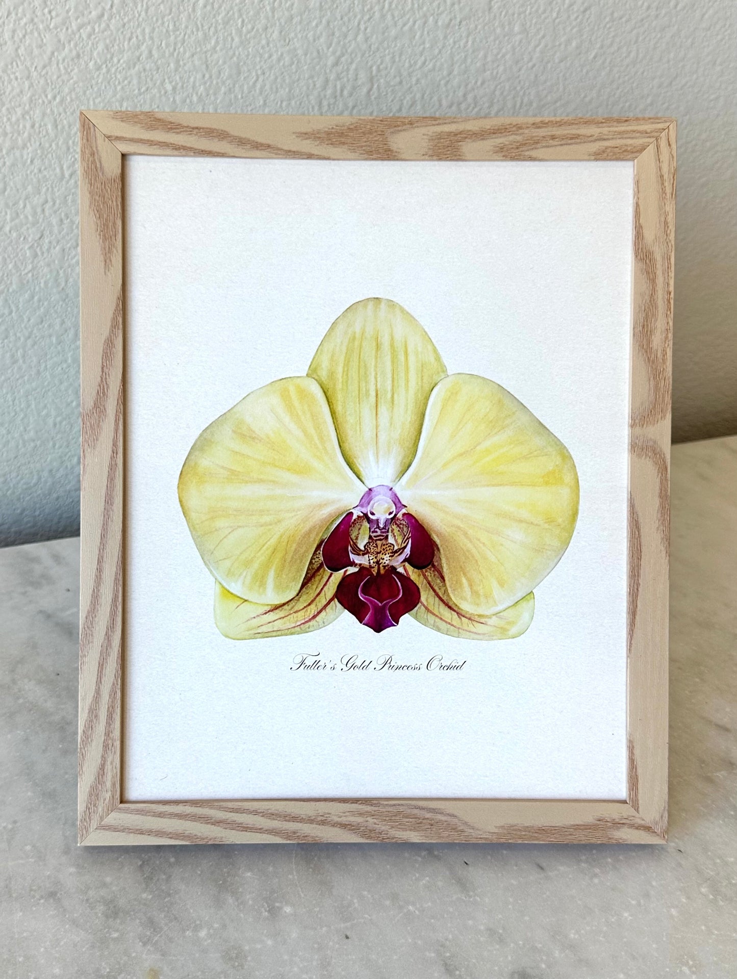 Fuller's Gold Princess Orchid Print