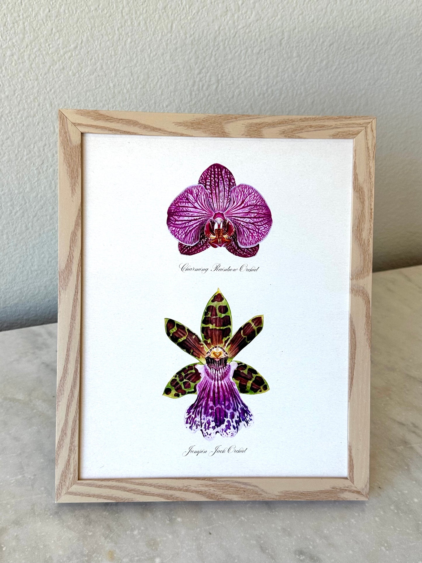 Purple Pair Orchids Print