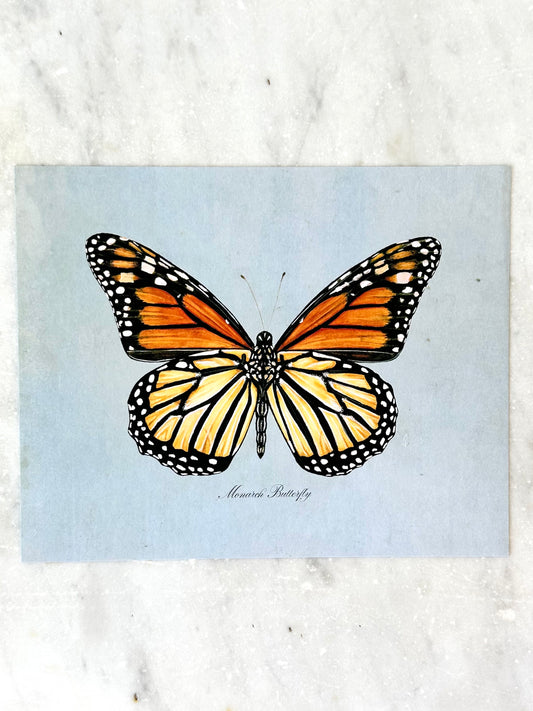 Monarch Butterfly on Blue Print