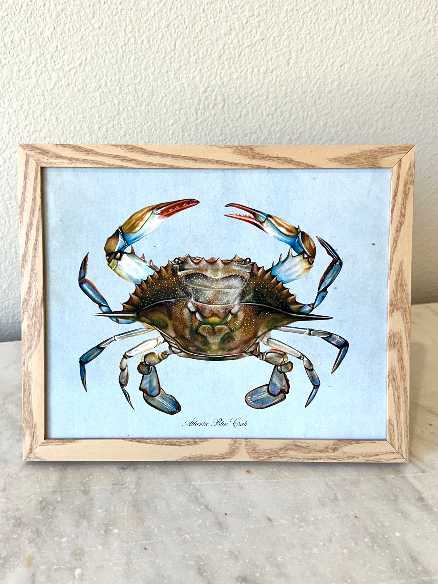 Blue Crab on Blue Print