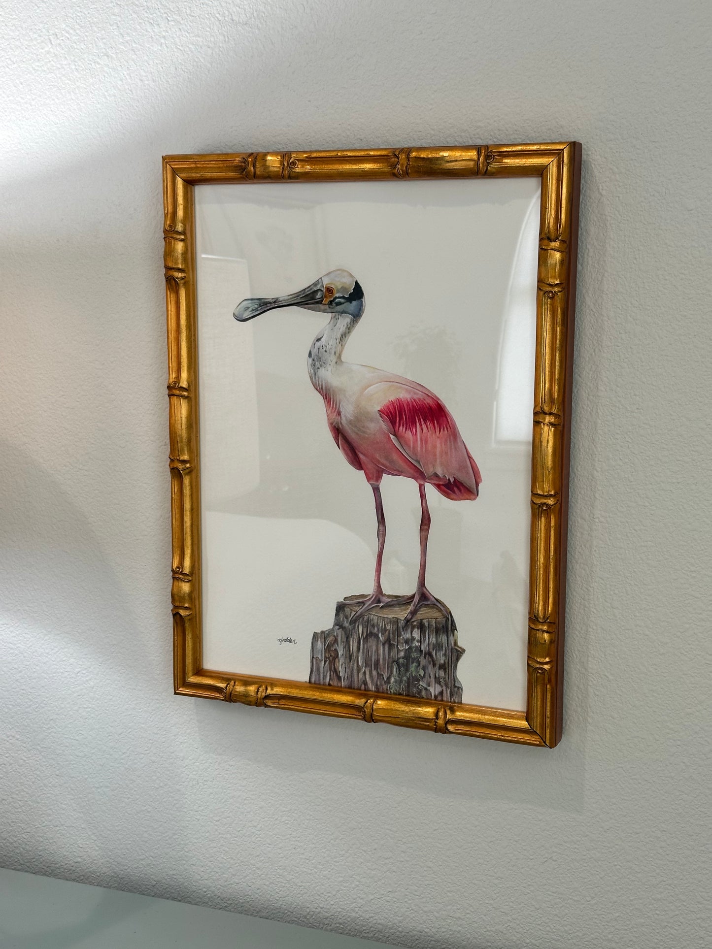 Original Roseate Spoonbill