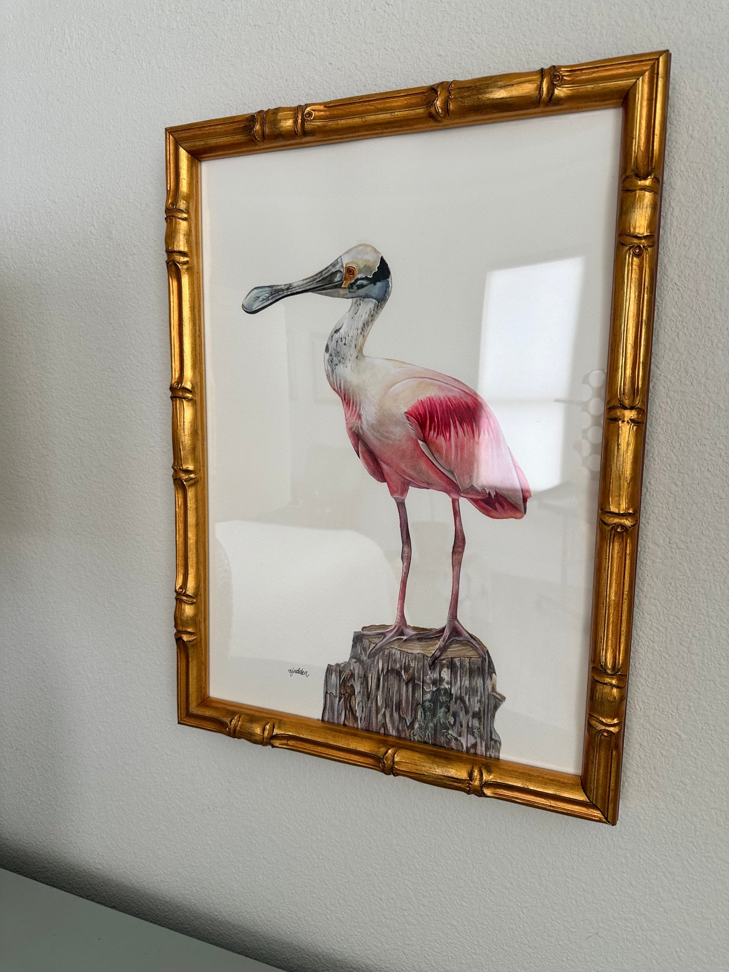 Original Roseate Spoonbill