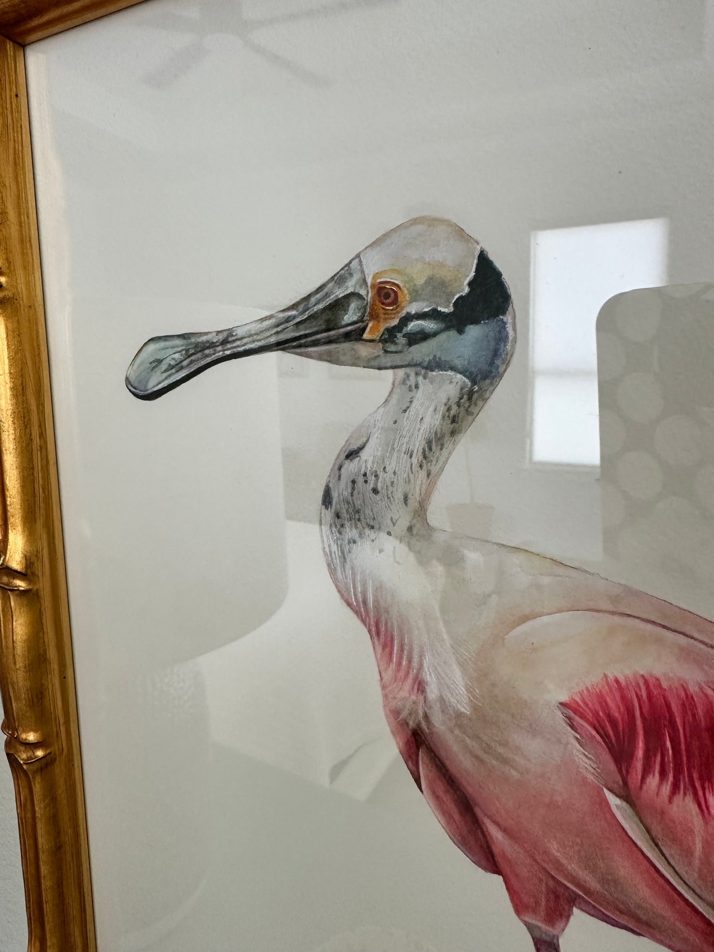 Original Roseate Spoonbill