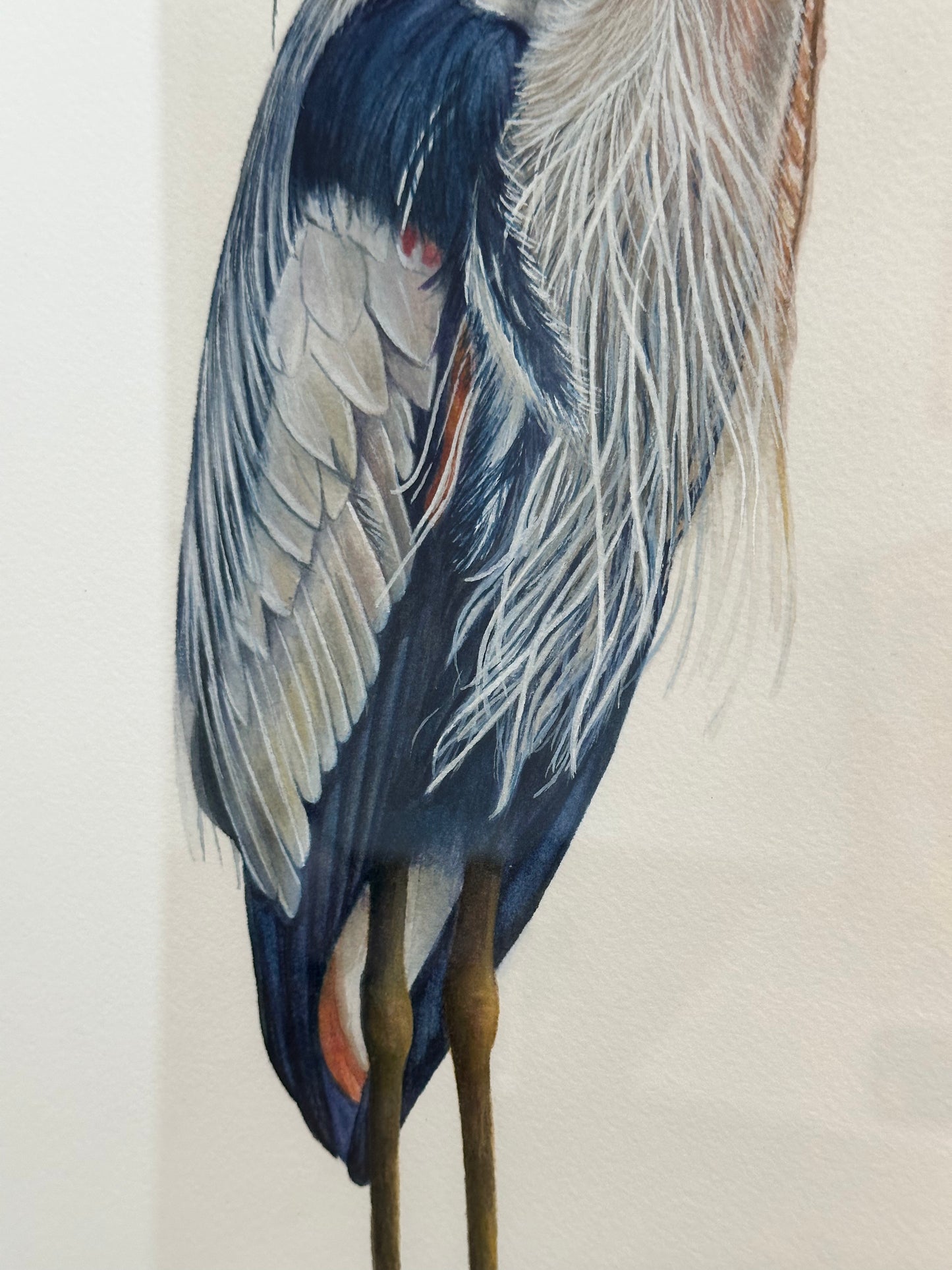 Original Great Blue Heron