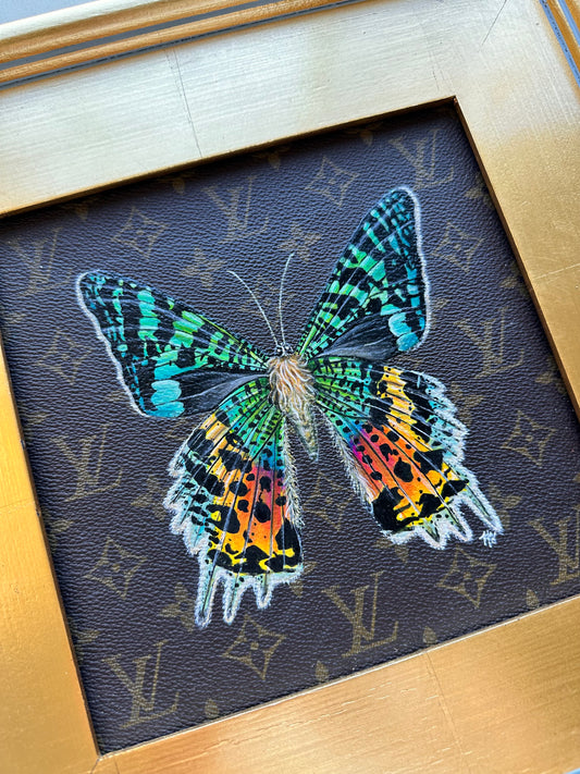 Sunset Moth Study 2022