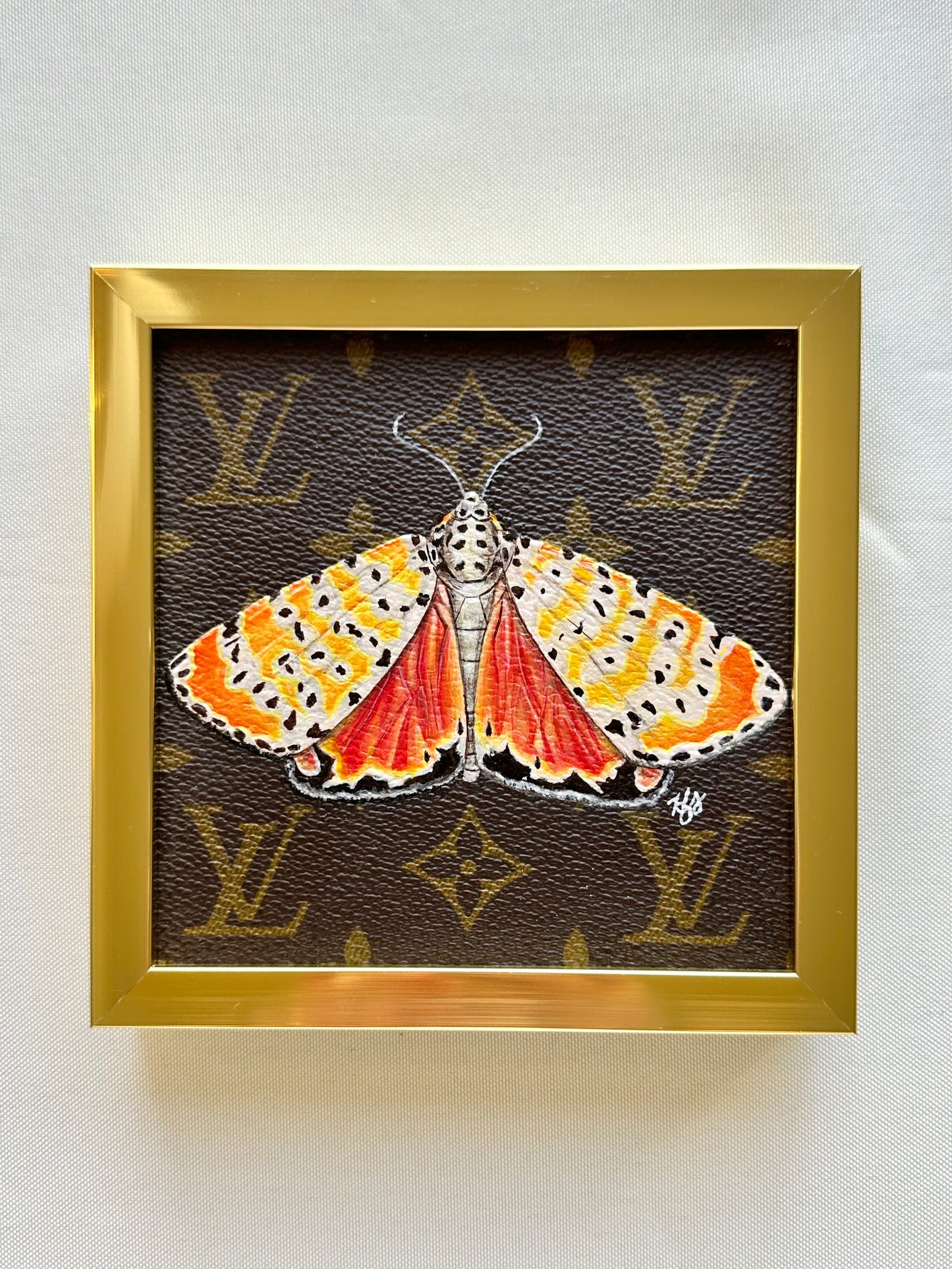 Ornate Bella Moth Study 2022