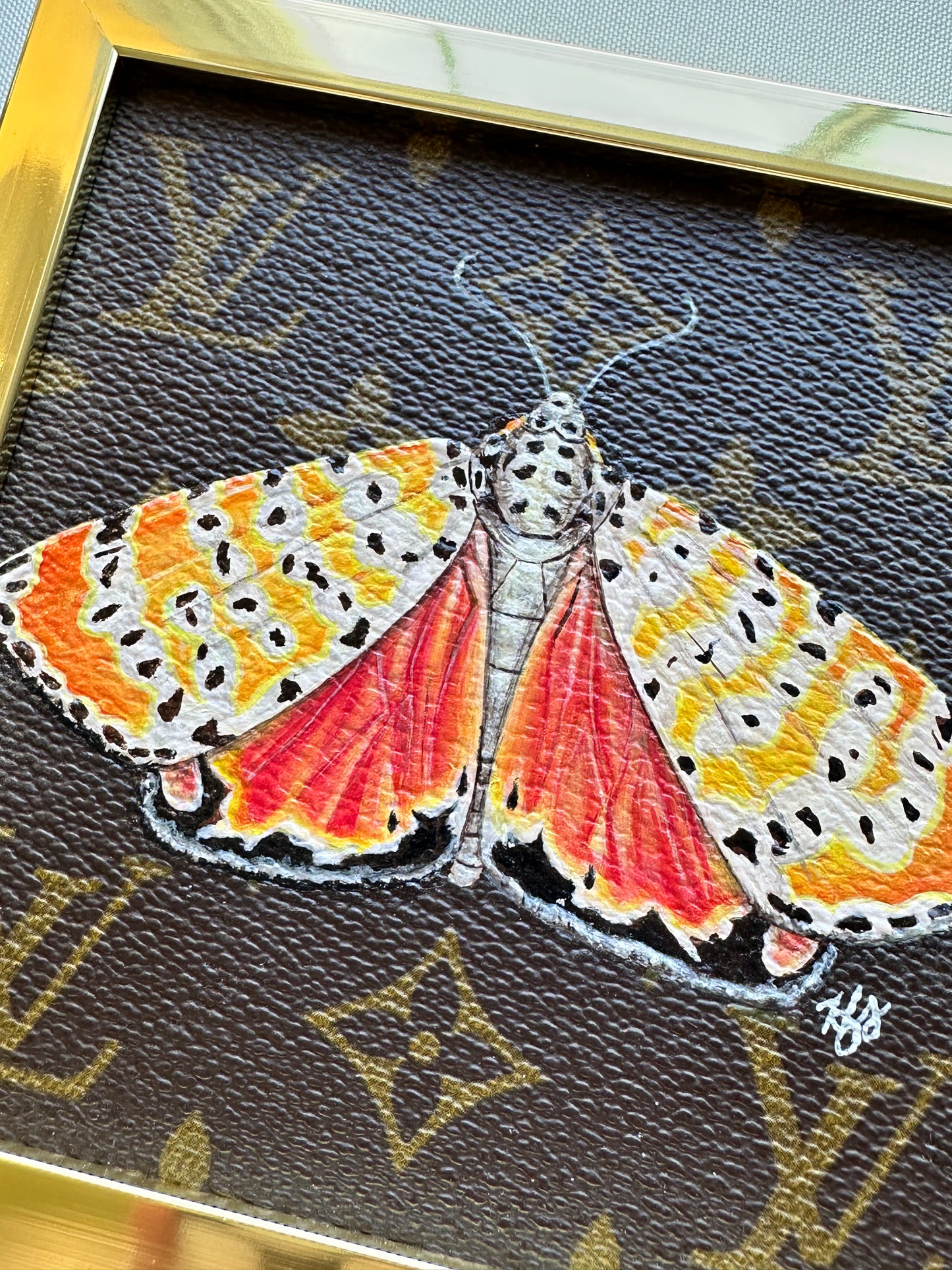 Ornate Bella Moth Study 2022