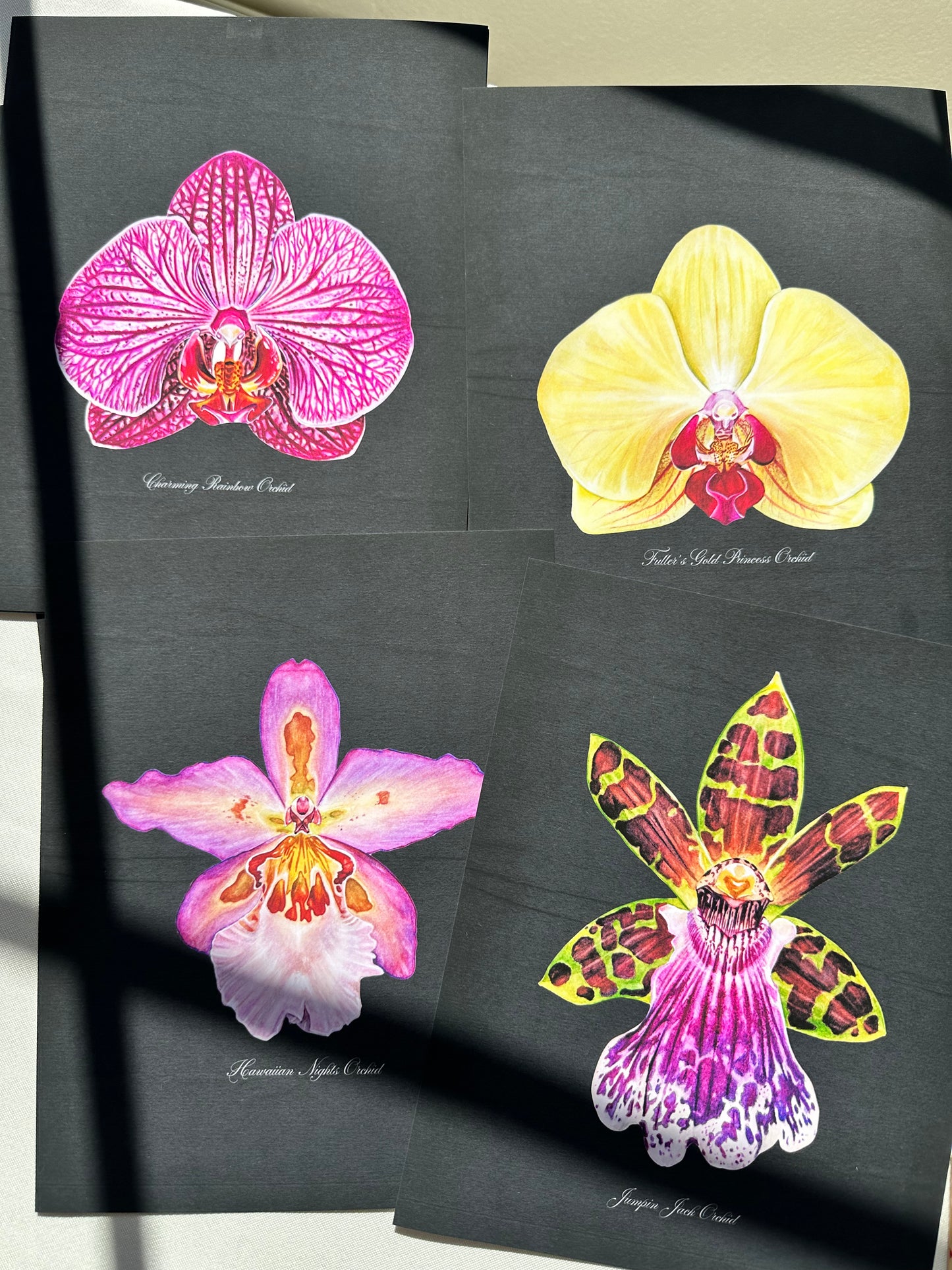 Hawaiian Nights Orchid Midnight Print