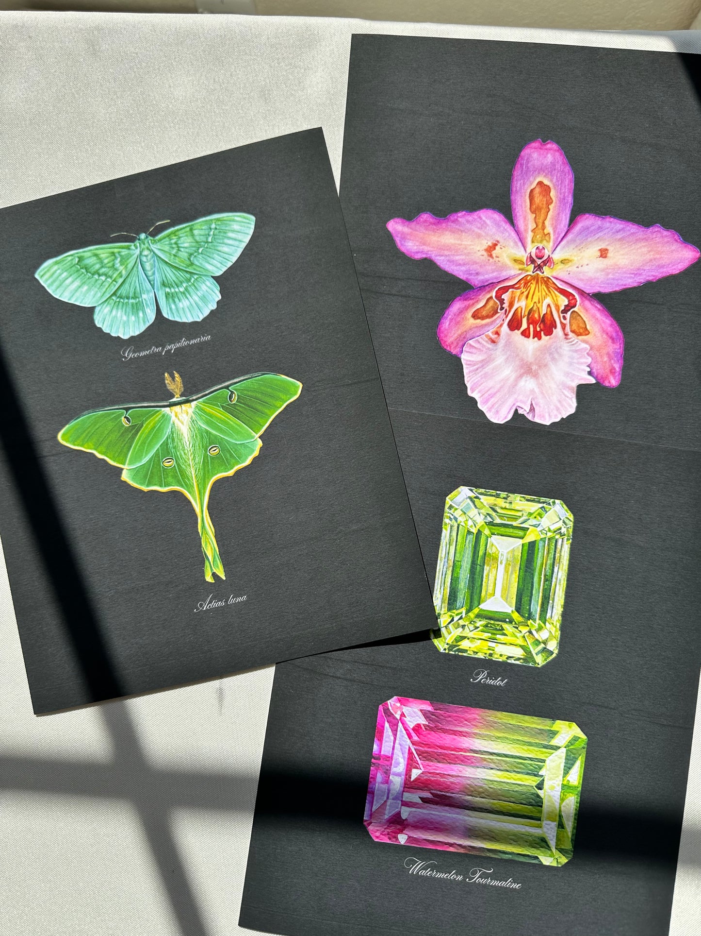 Hawaiian Nights Orchid Midnight Print