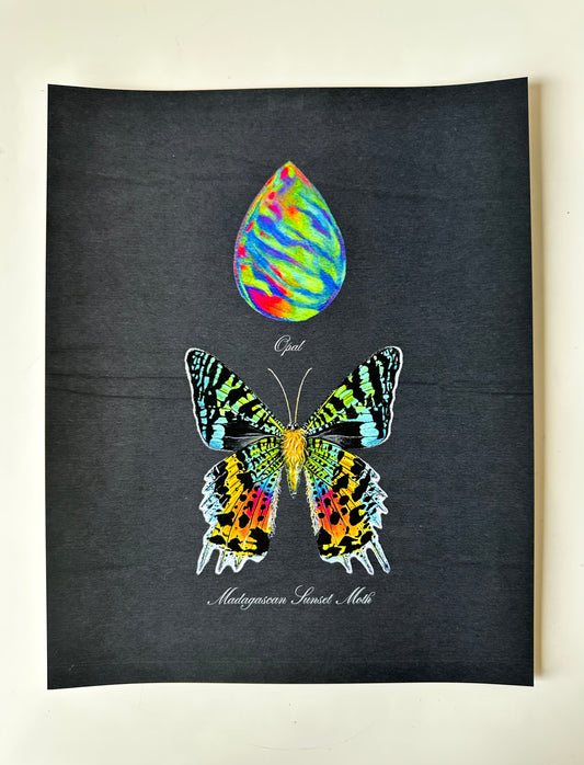 Opal + Sunset Moth Midnight Print