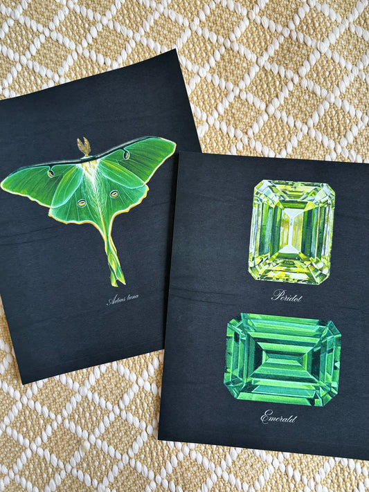 Luna Moth Midnight Print
