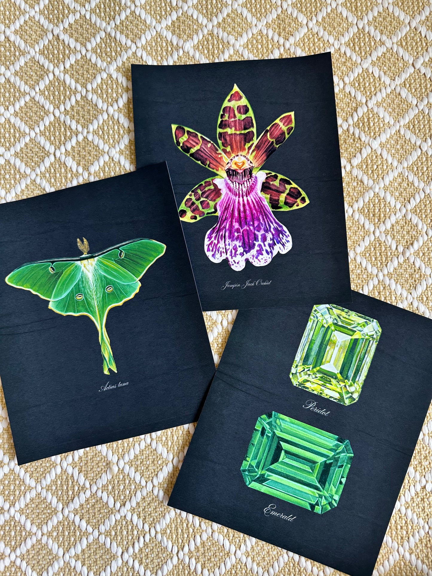 Jumpin' Jack Orchid Midnight Print