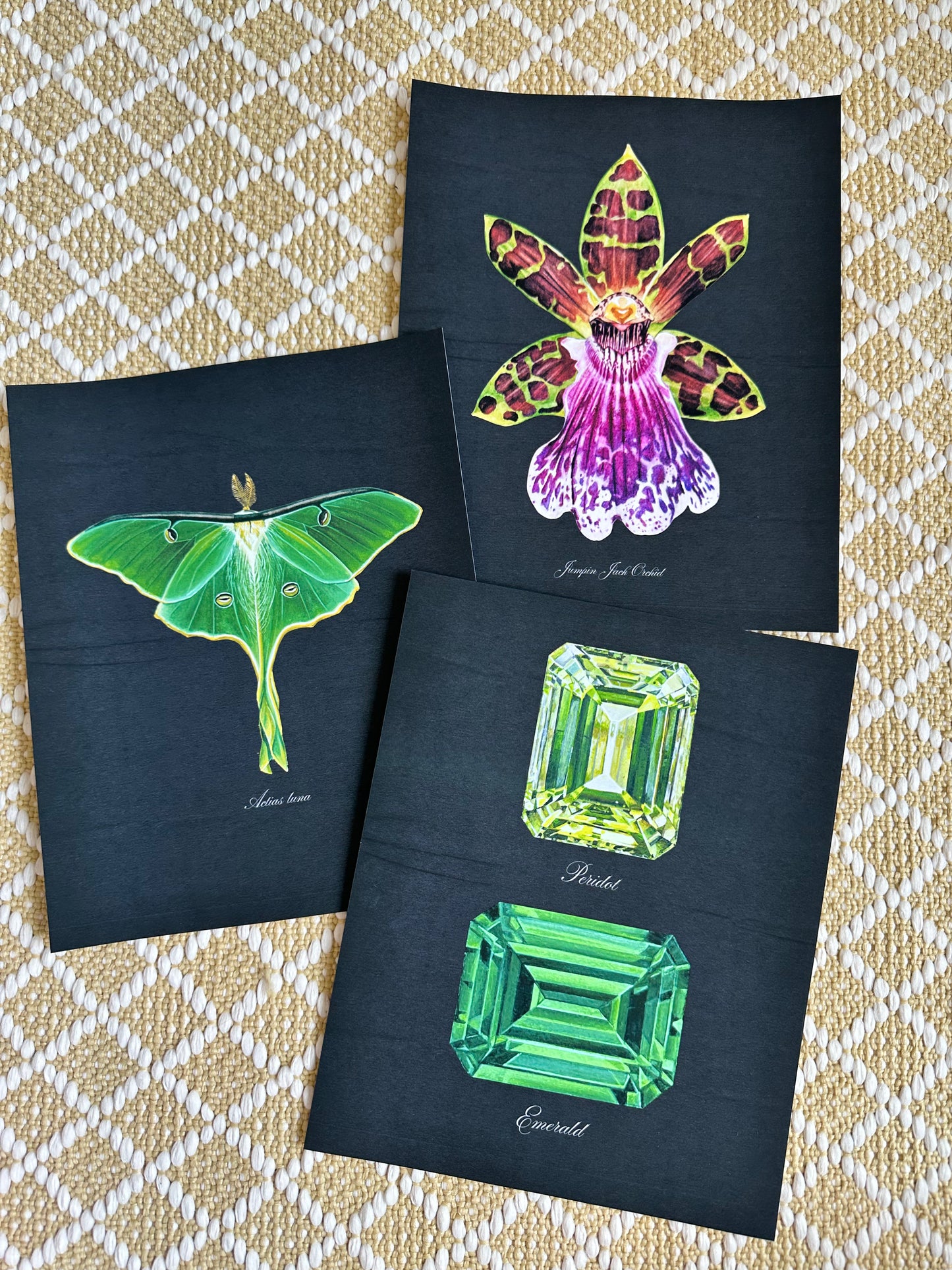 Luna Moth Midnight Print