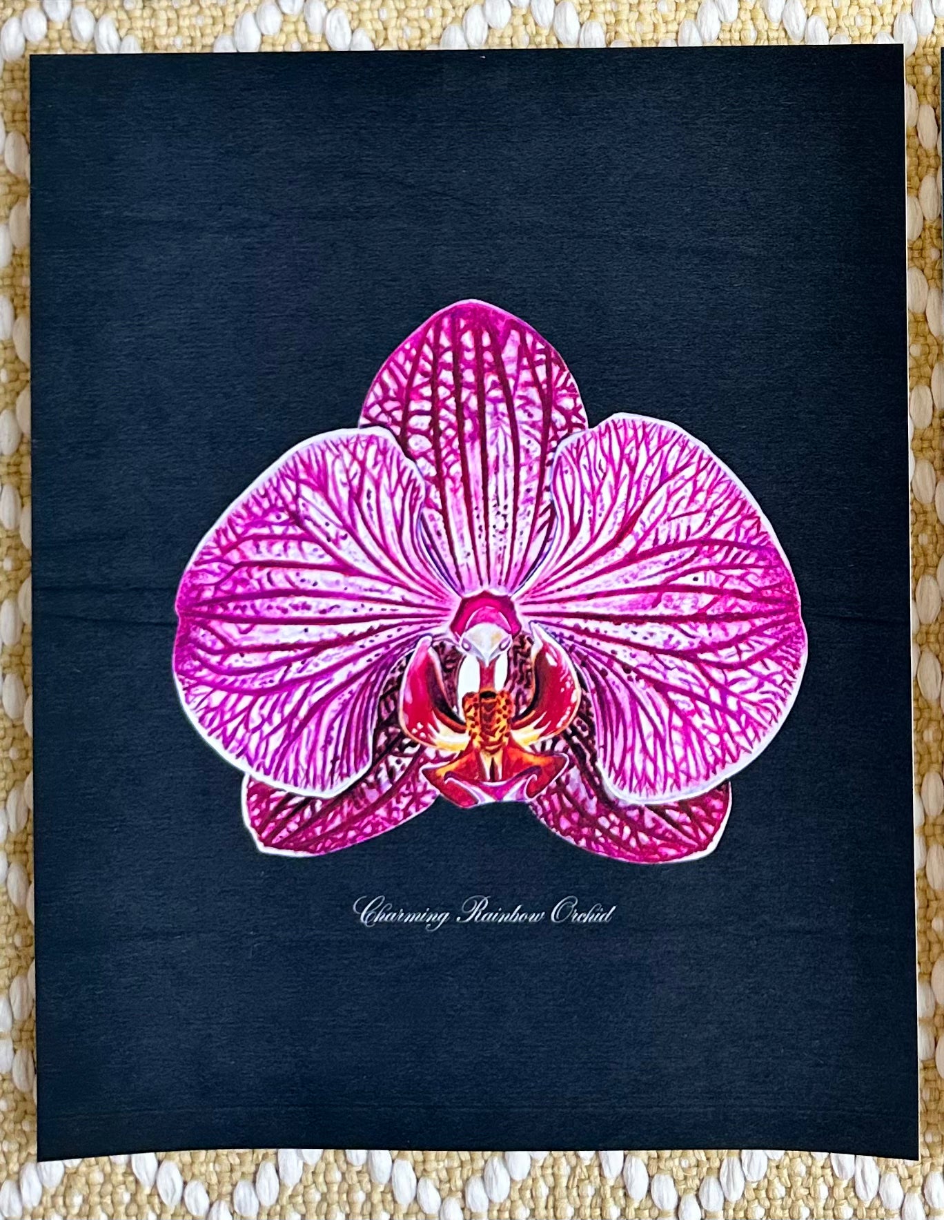 Charming Rainbow Orchid Midnight Print