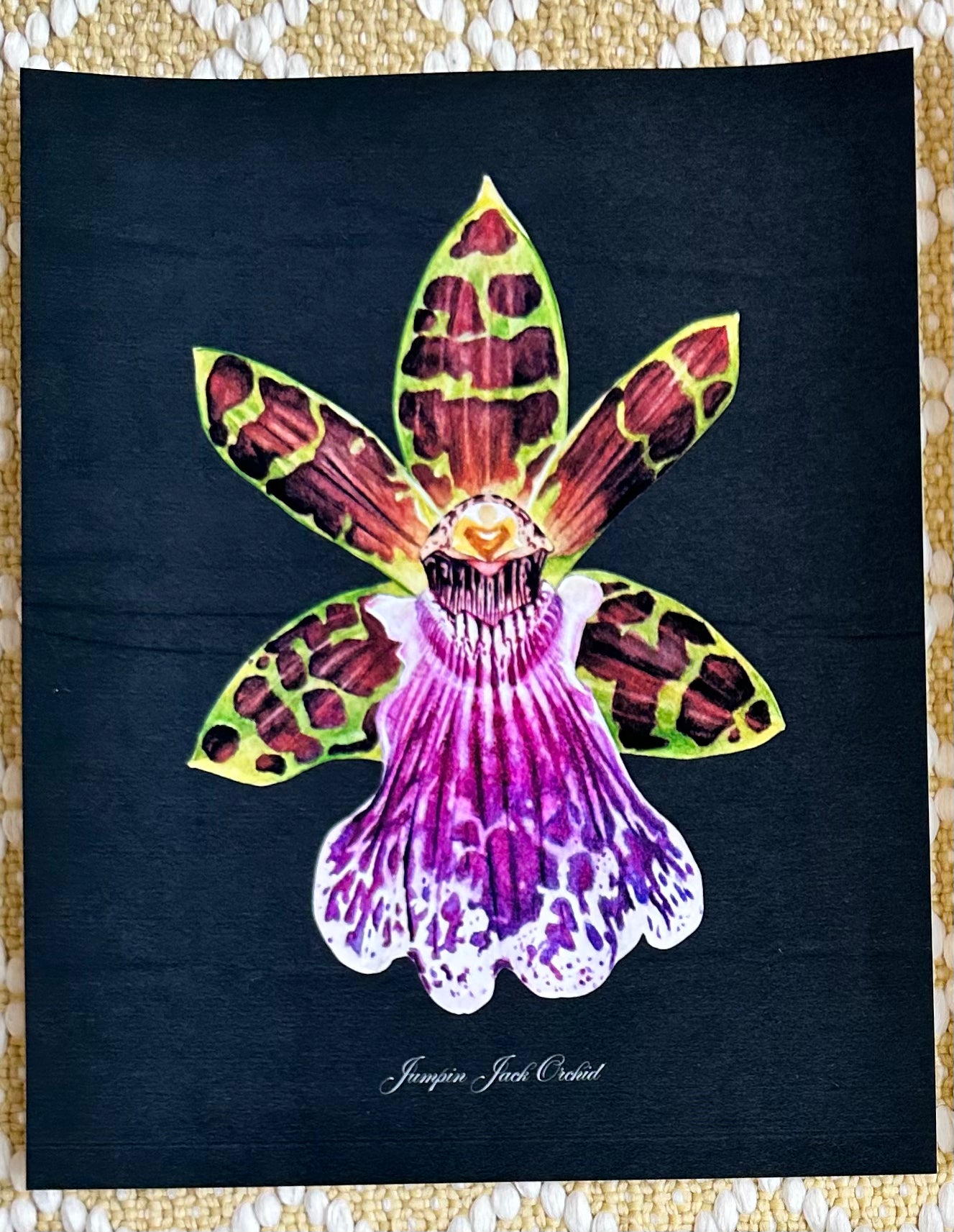 Jumpin' Jack Orchid Midnight Print