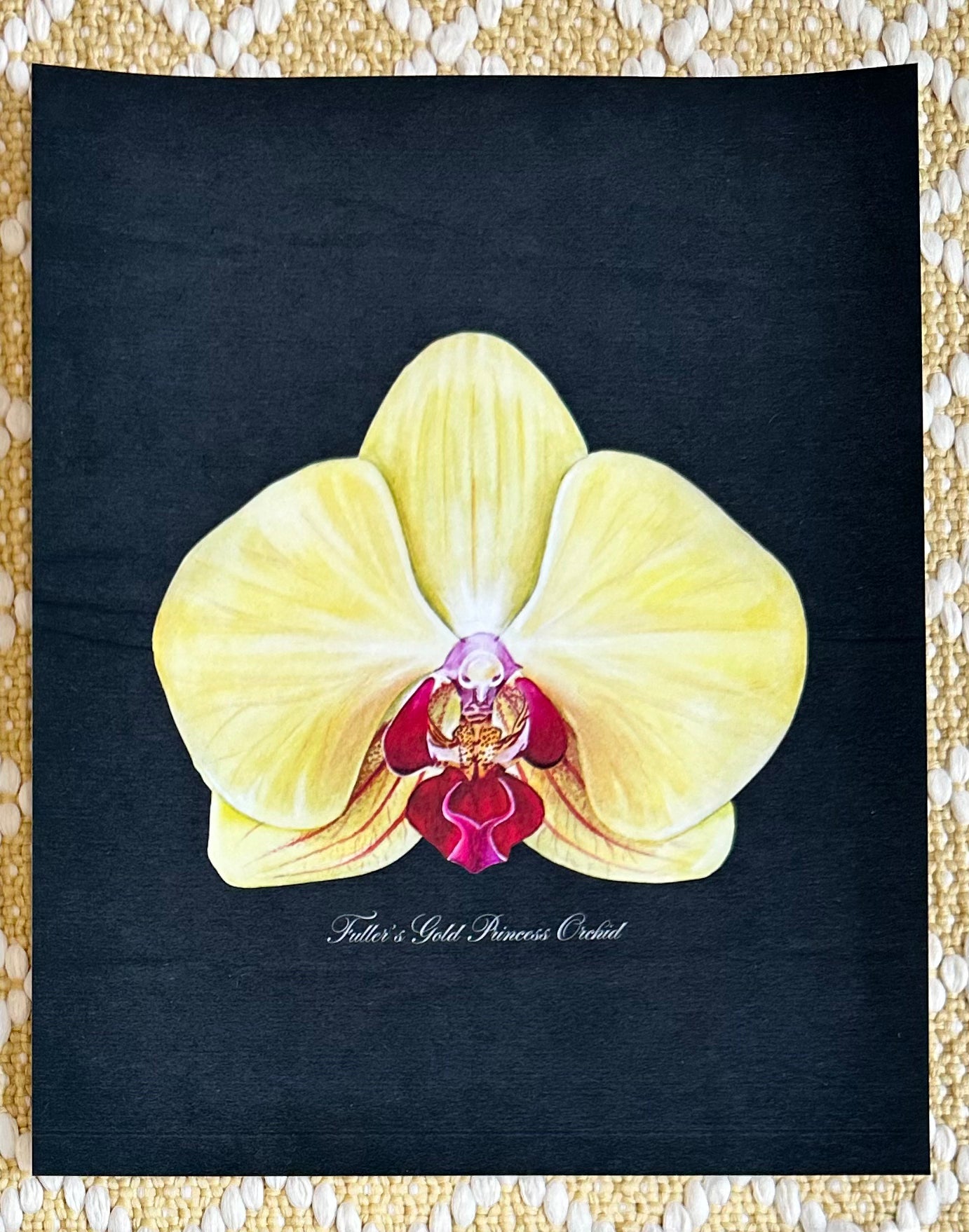 Fullers Gold Orchid Midnight Print