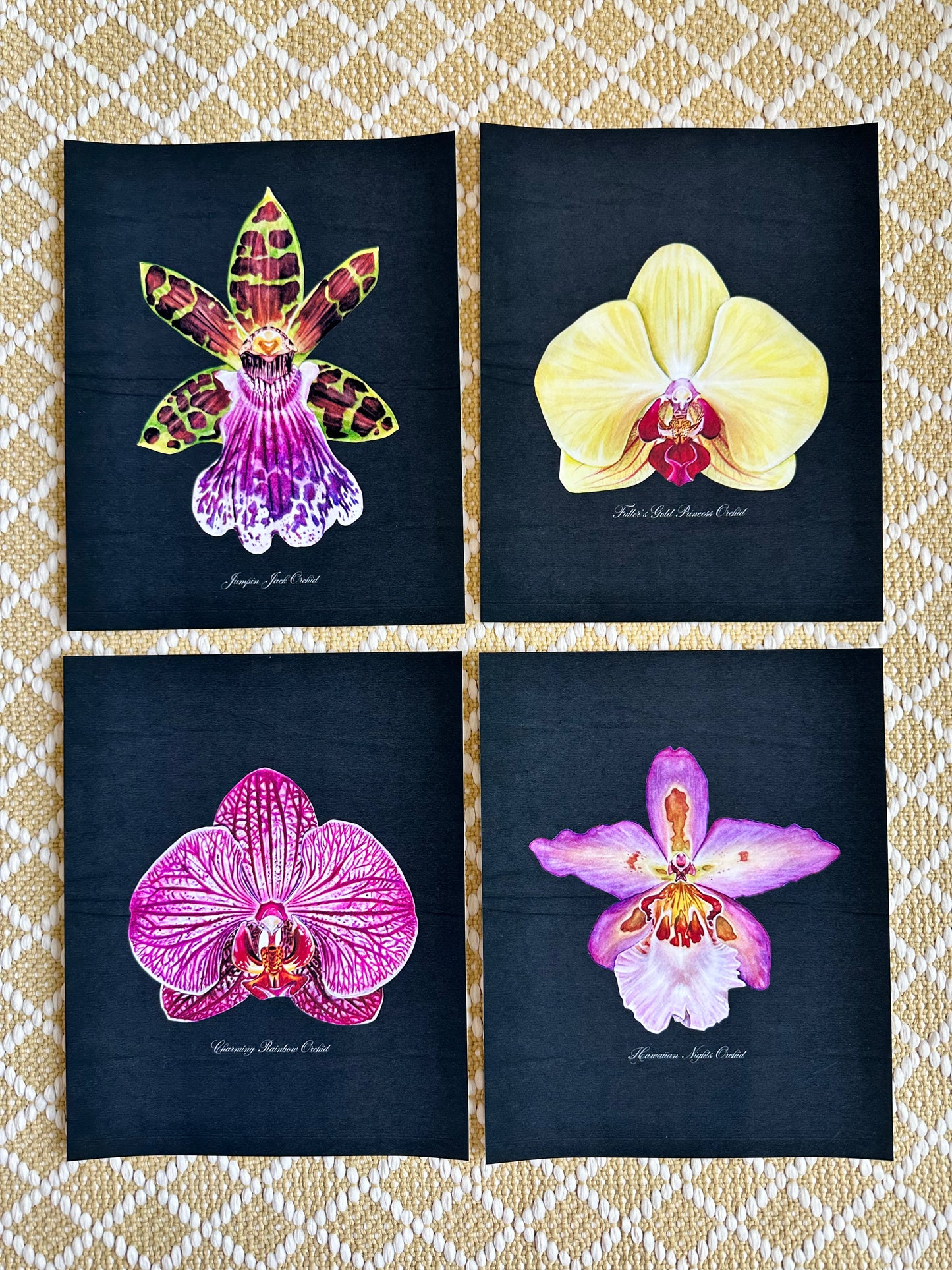 Charming Rainbow Orchid Midnight Print