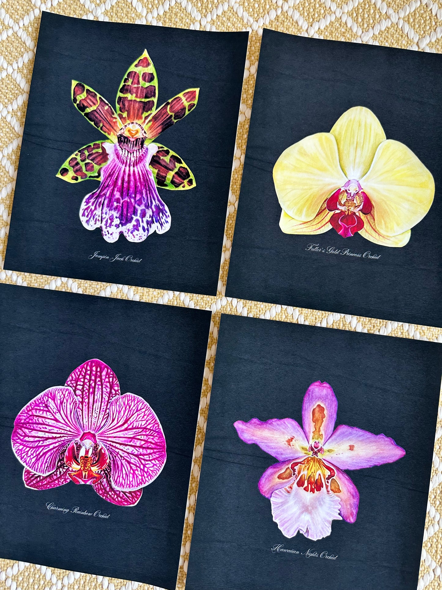Hawaiian Nights Orchid Midnight Print