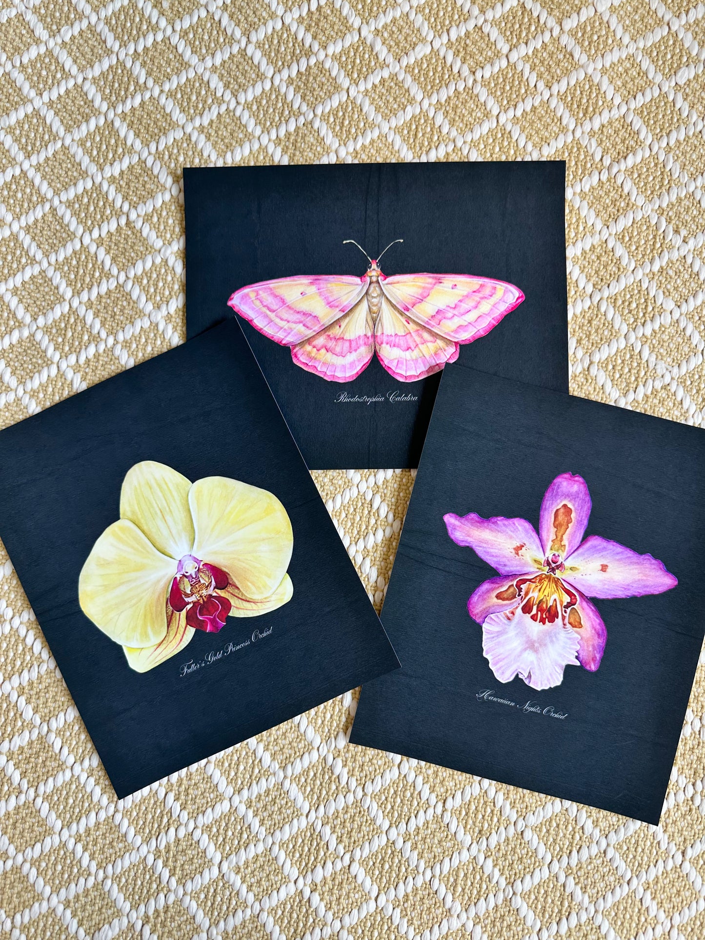 Hawaiian Nights Orchid Midnight Print