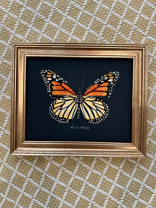 Framed Monarch Butterfly Midnight Print