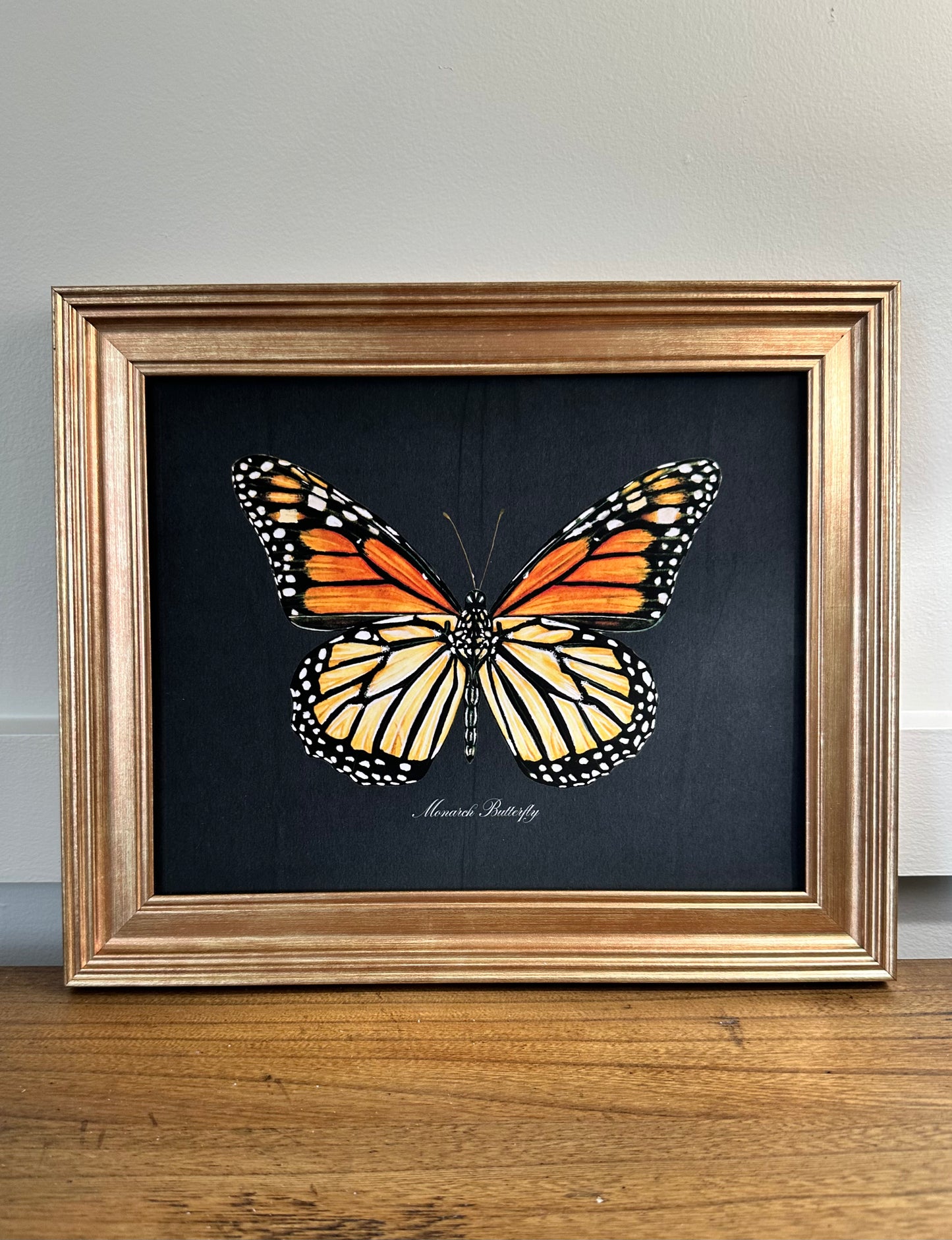 Framed Monarch Butterfly Midnight Print