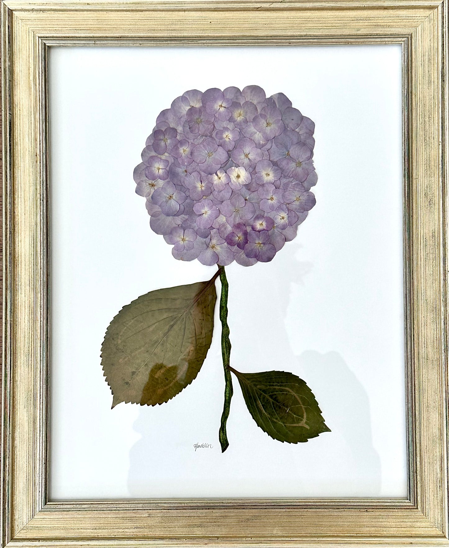 Pressed Purple Hydrangea Framed