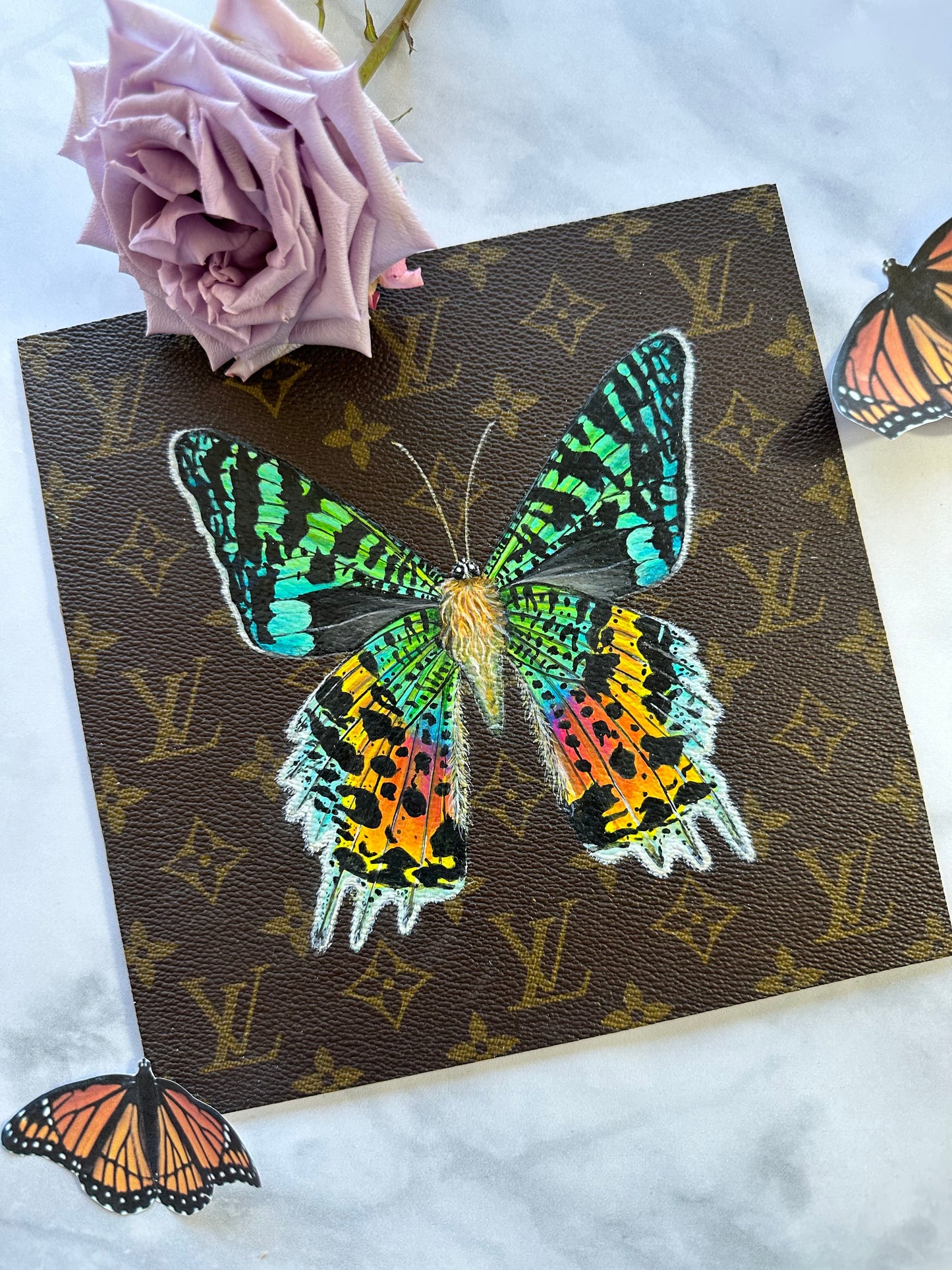 Unframed Sunset Moth Study 2022