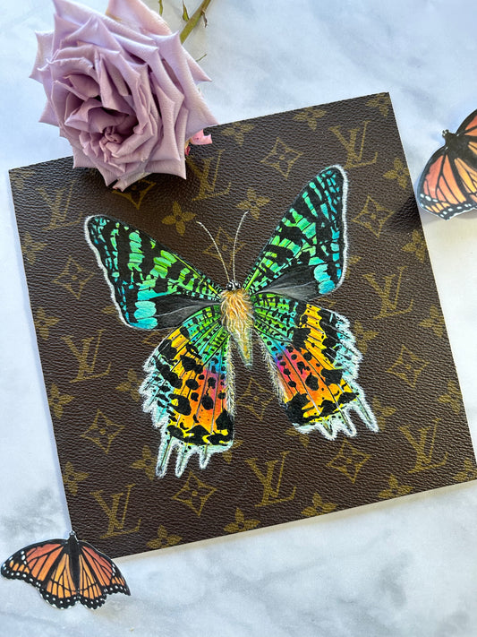 Unframed Sunset Moth Study 2022
