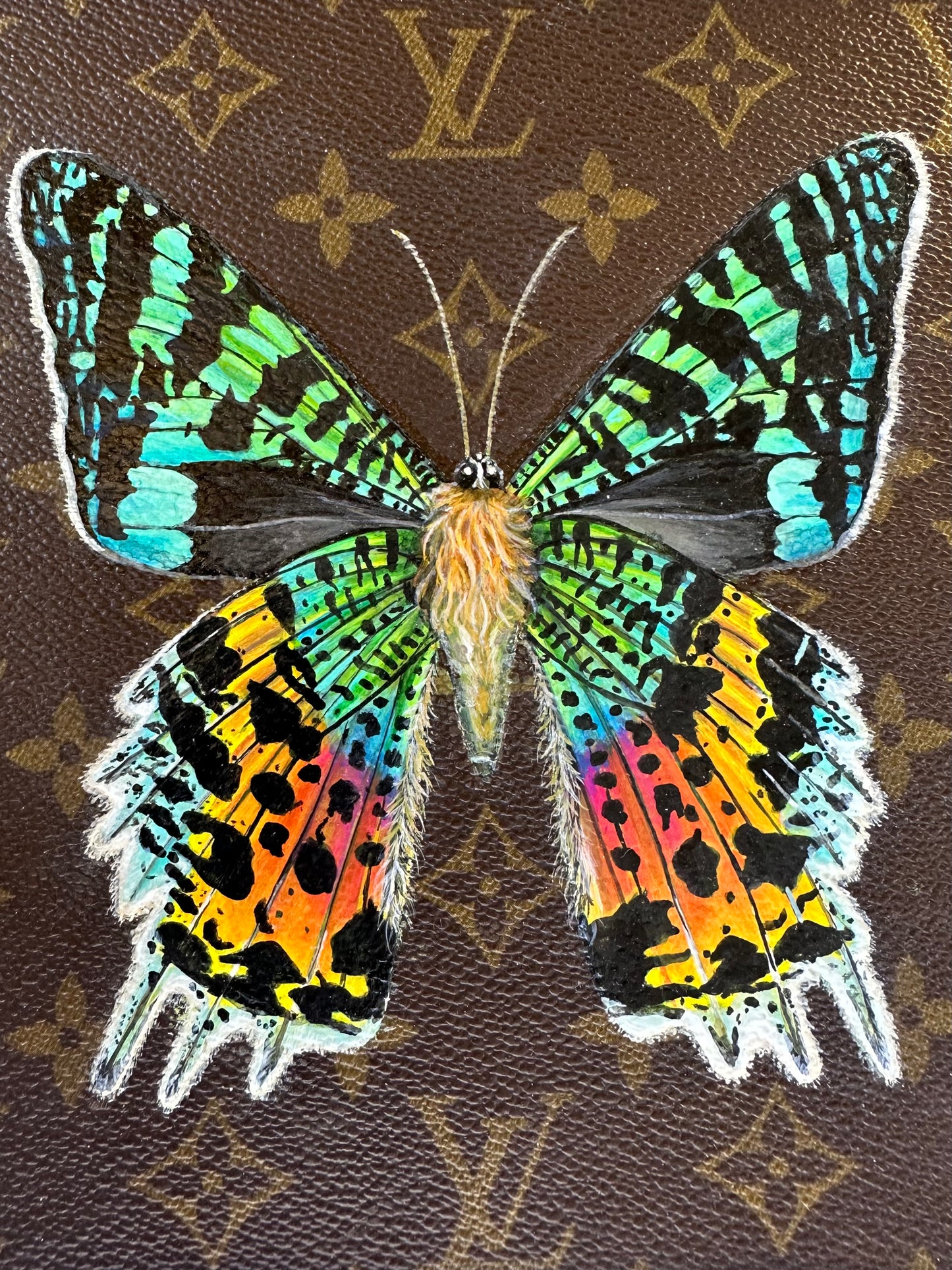 Unframed Sunset Moth Study 2022