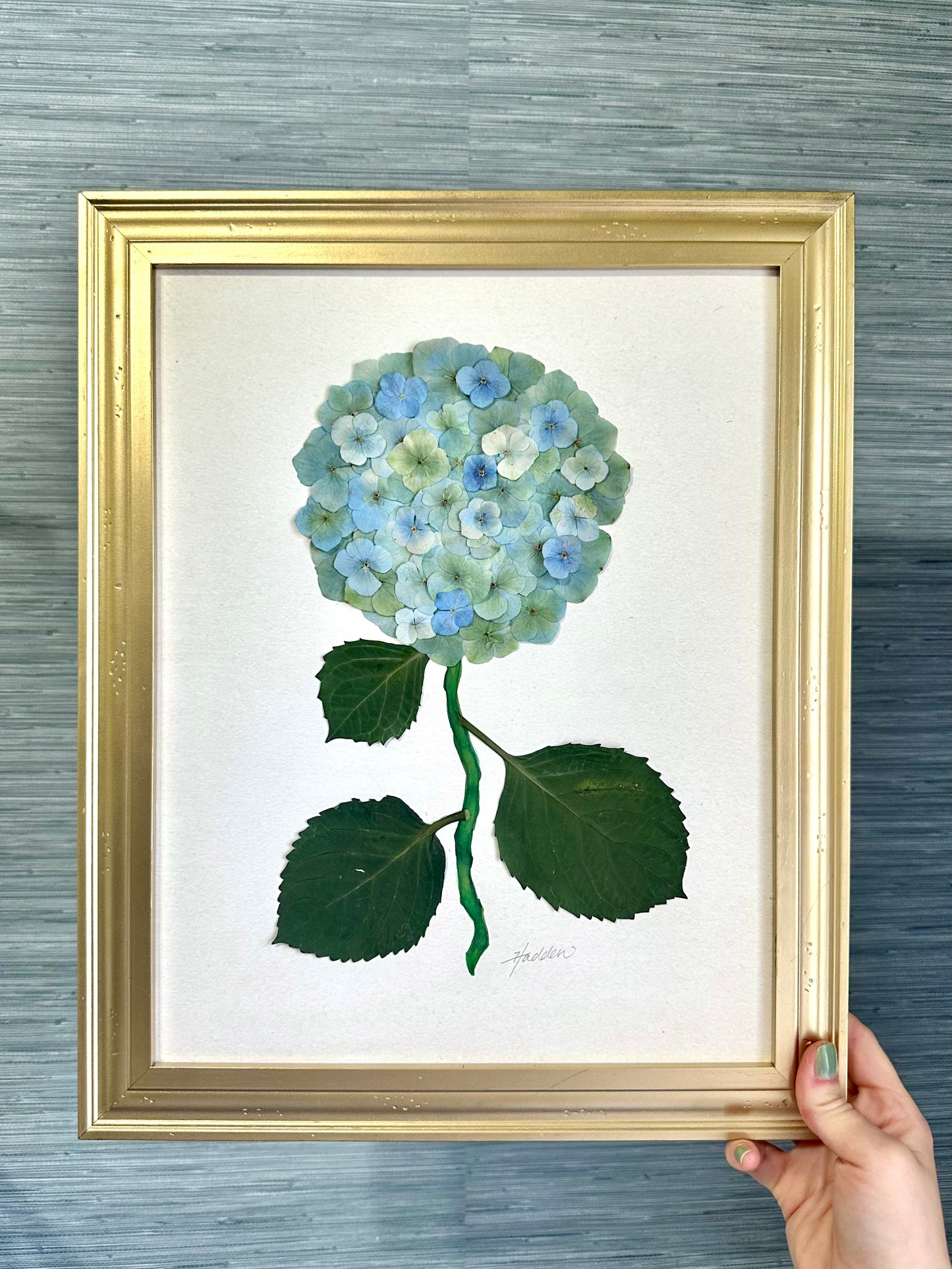 Original Pressed Hydrangea V/VII