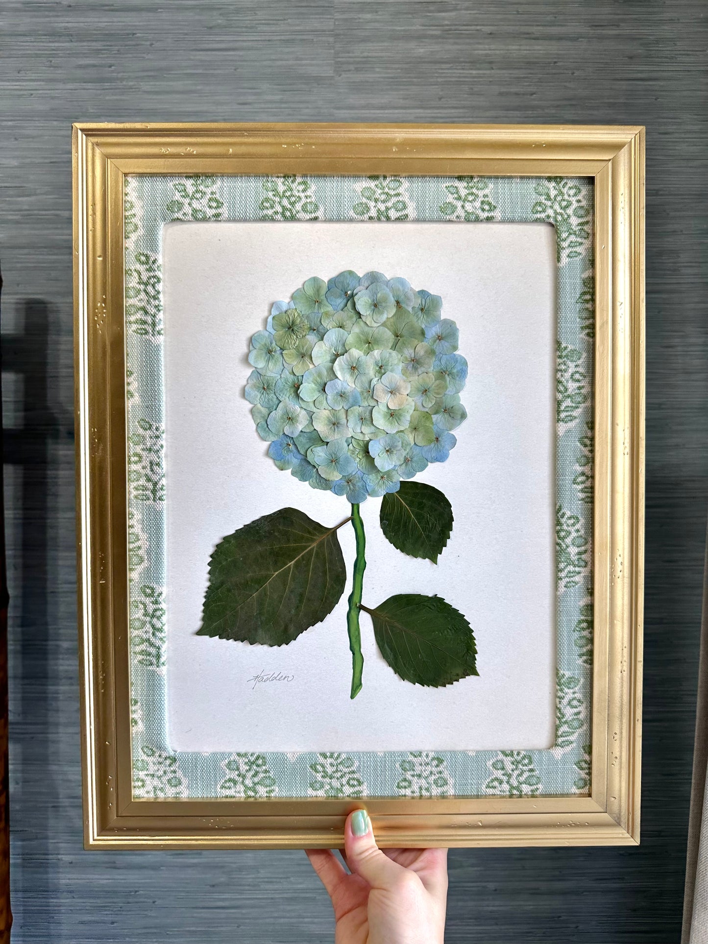 Original Pressed Hydrangea IV/VII