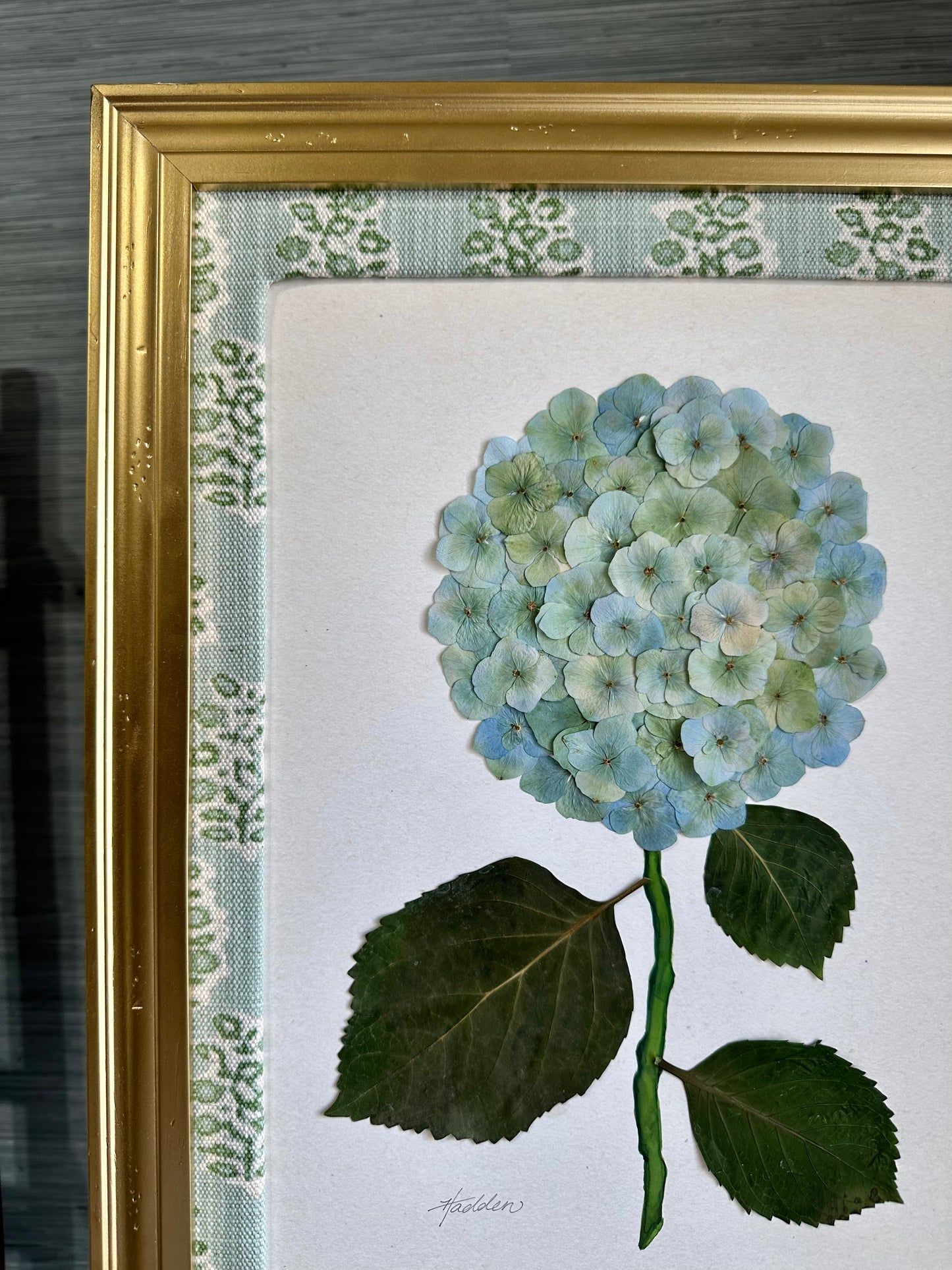 Original Pressed Hydrangea IV/VII
