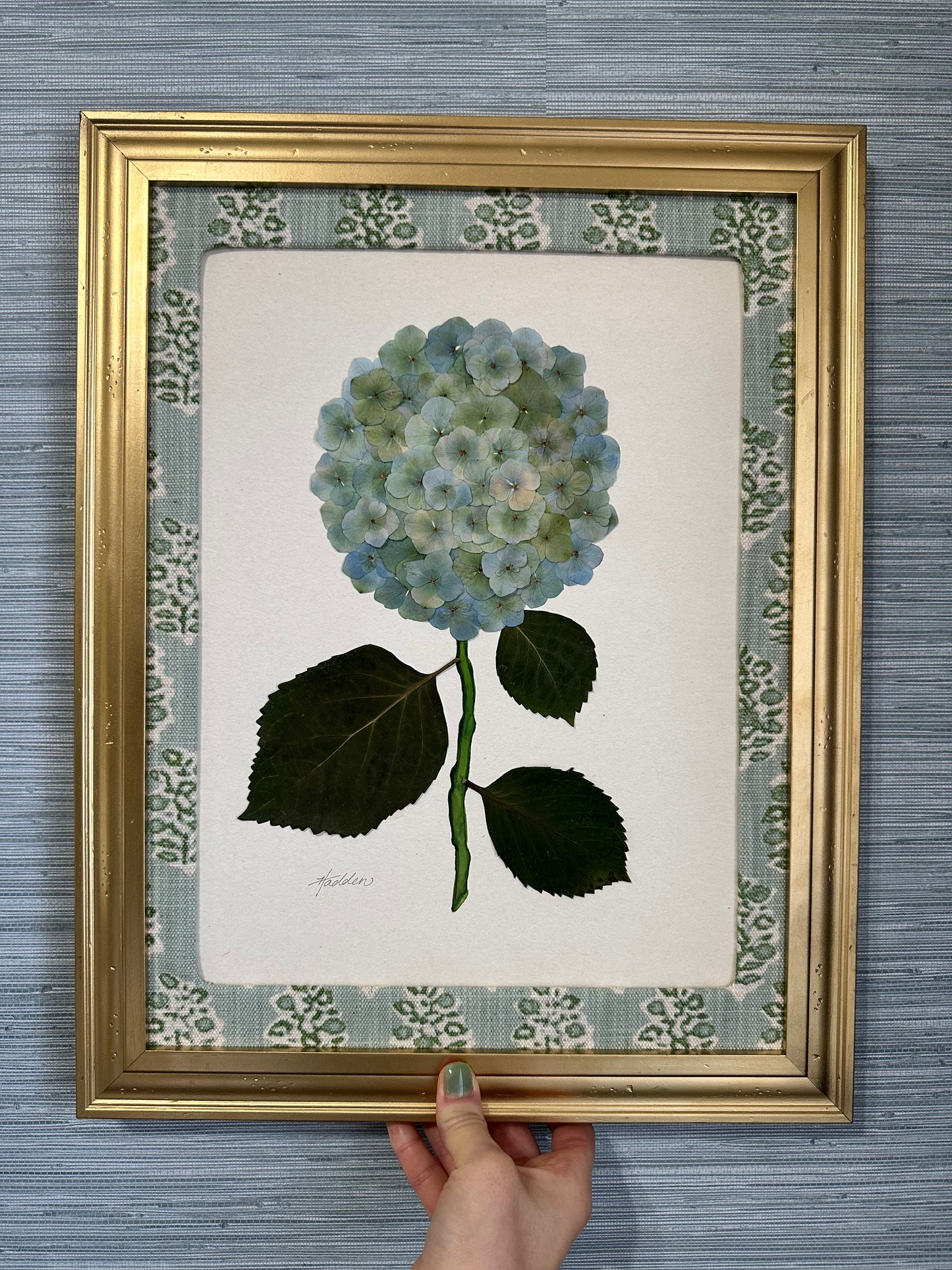 Original Pressed Hydrangea IV/VII