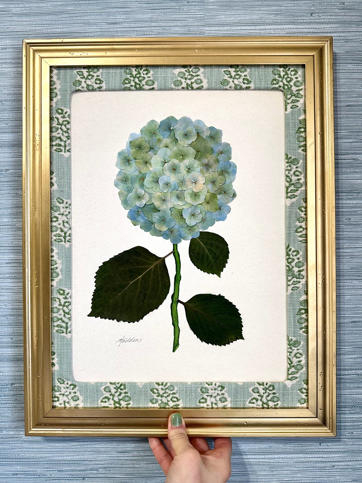 Original Pressed Hydrangea IV/VII