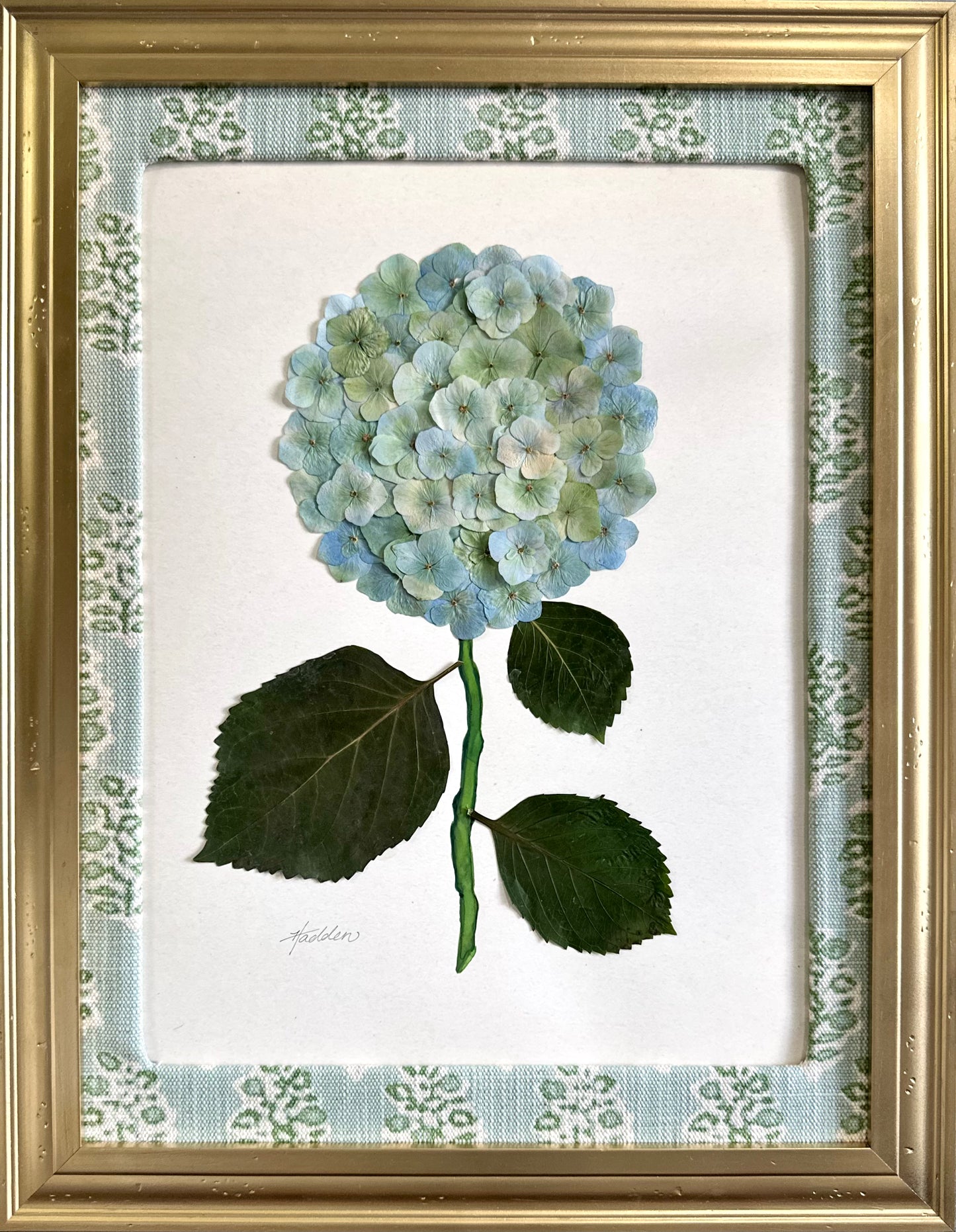 Original Pressed Hydrangea IV/VII