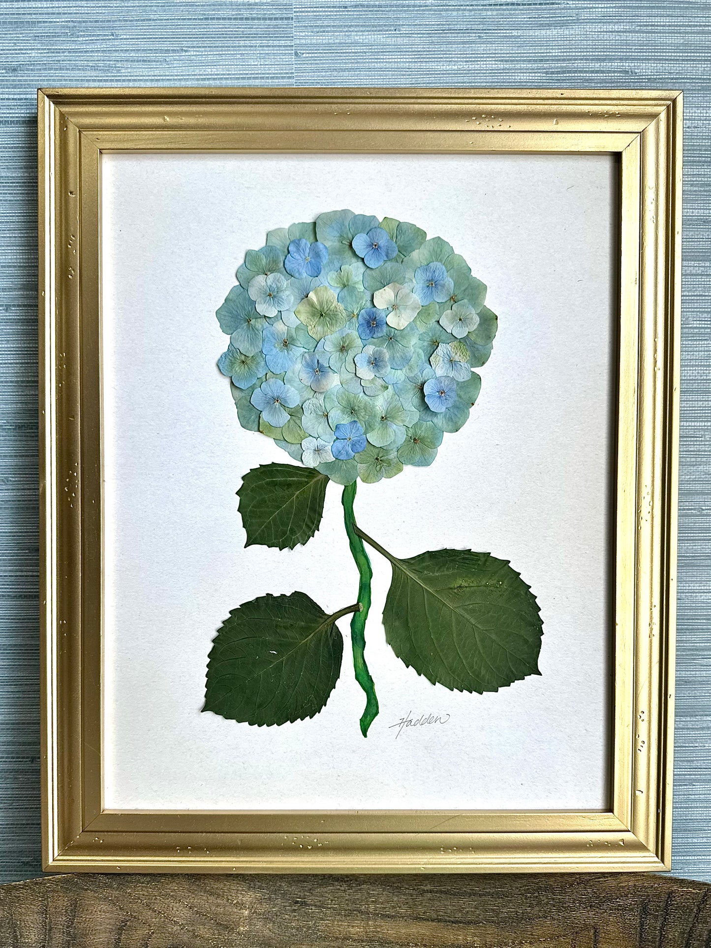 Original Pressed Hydrangea V/VII