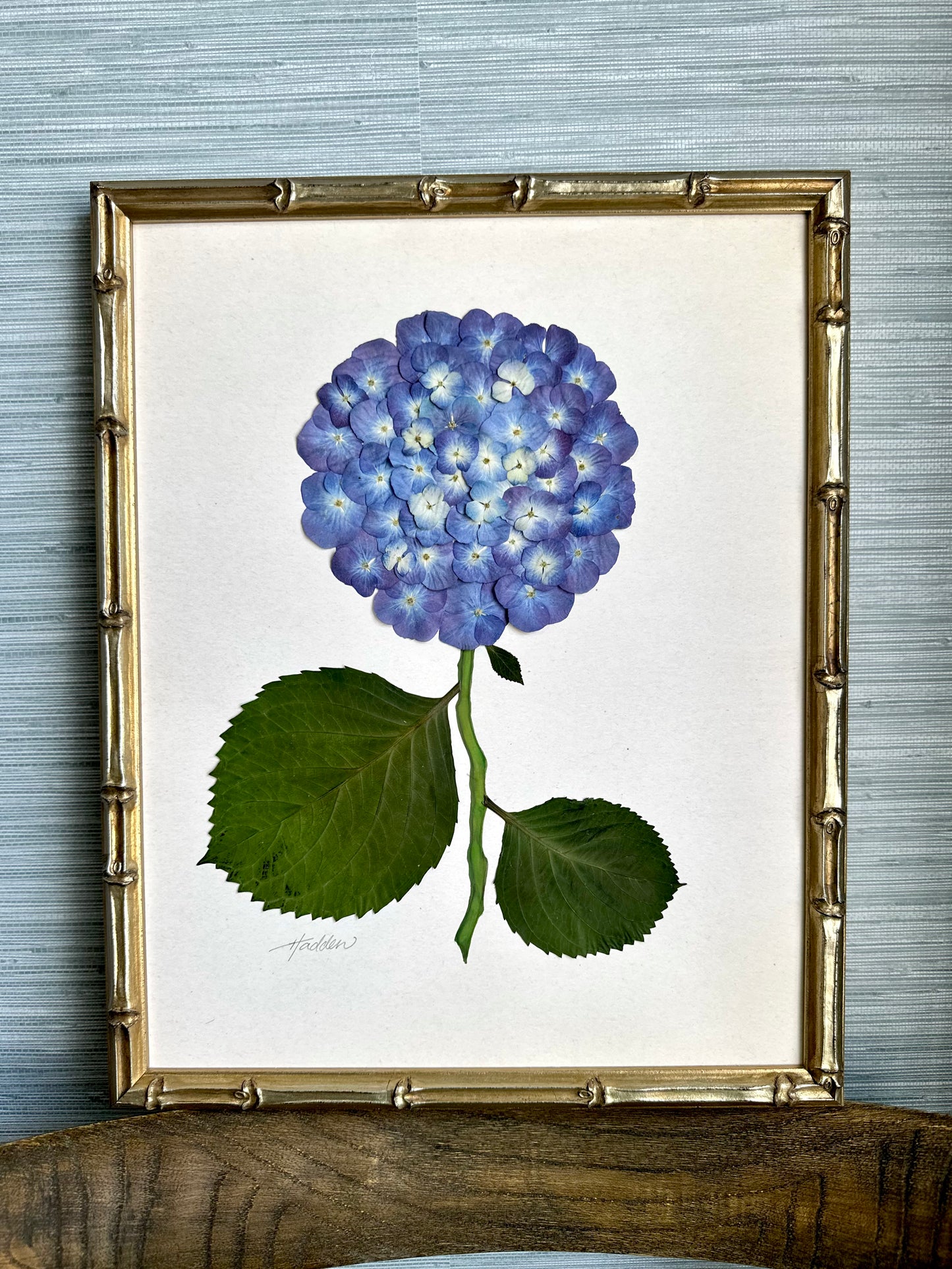 Original Pressed Hydrangea II/VII